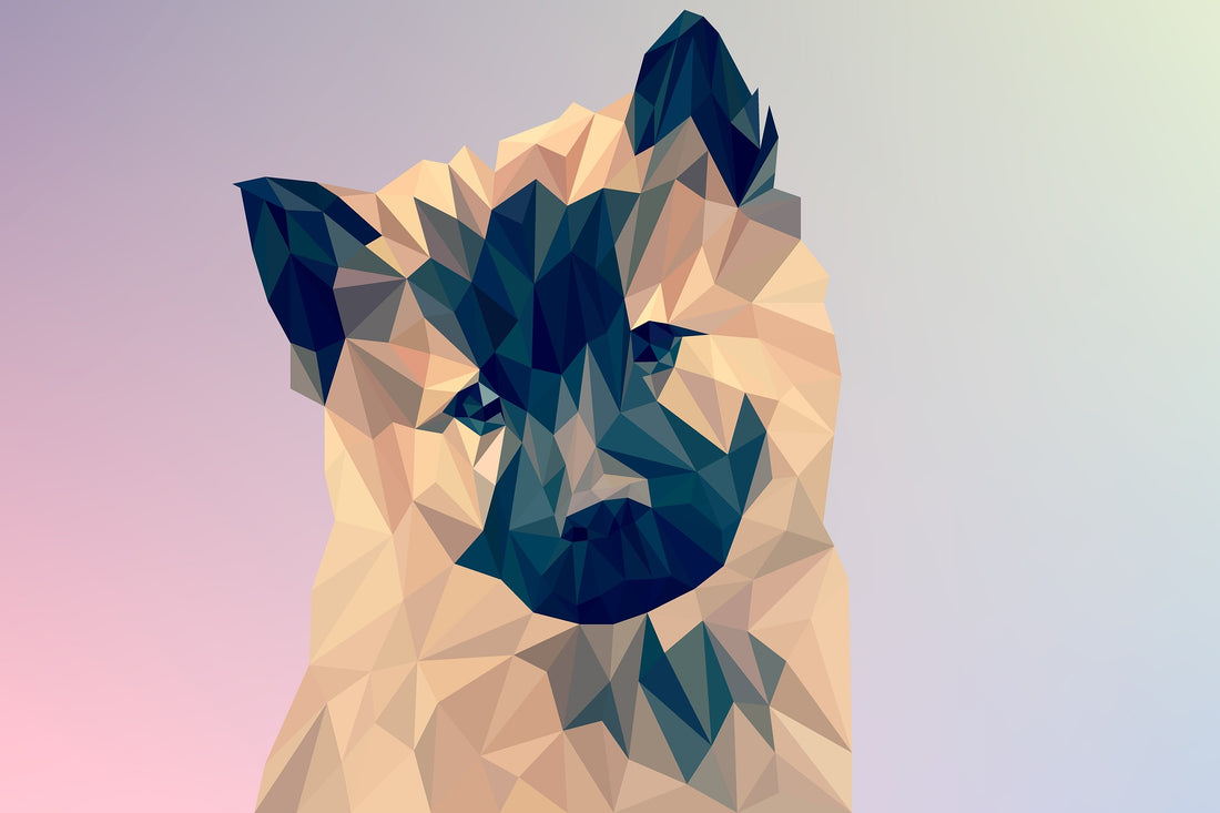 How to make full-color polygonal drawings