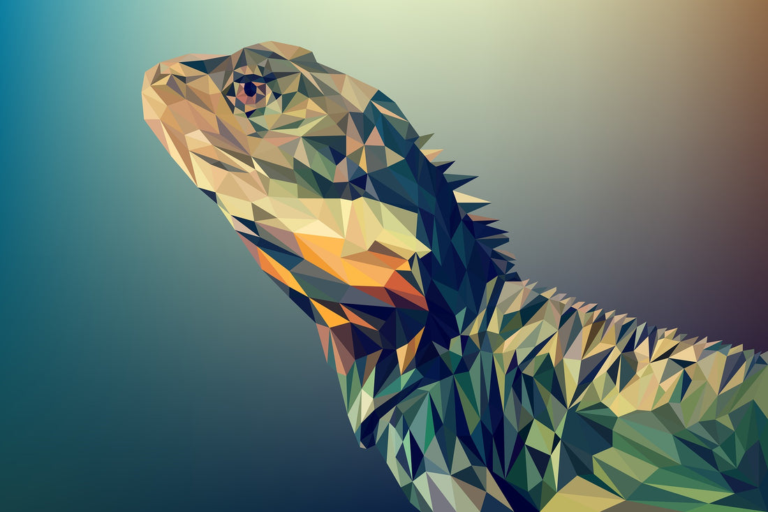 Animals vectors